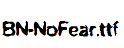 BN-NoFear
