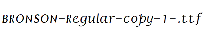 BRONSON-Regular-copy-1-.ttf