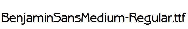 BenjaminSansMedium-Regular.ttf