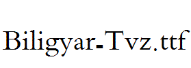 Biligyar-Tvz.ttf