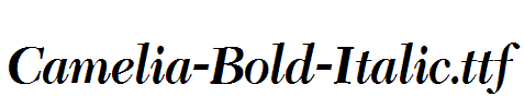 Camelia-Bold-Italic.ttf