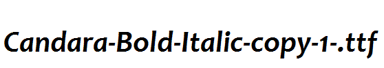 Candara-Bold-Italic-copy-1-.ttf