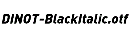 DINOT-BlackItalic.otf