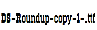 DS-Roundup-copy-1-.ttf