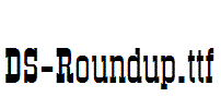 DS-Roundup.ttf