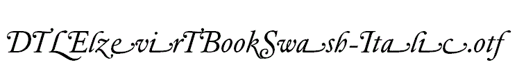 DTLElzevirTBookSwash-Italic.otf