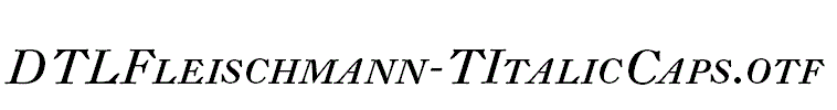 DTLFleischmann-TItalicCaps.otf