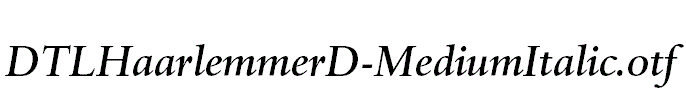 DTLHaarlemmerD-MediumItalic.otf