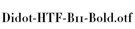 Didot-HTF-B11-Bold.otf