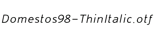 Domestos98-ThinItalic.otf