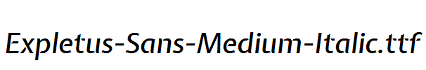 Expletus-Sans-Medium-Italic
