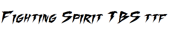 Fighting-Spirit-TBS