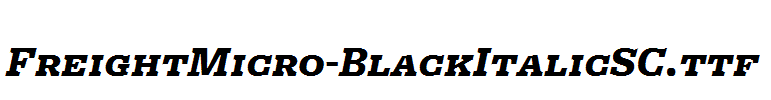 FreightMicro-BlackItalicSC.ttf