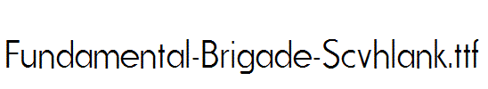 Fundamental-Brigade-Scvhlank