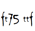 ft75.ttf