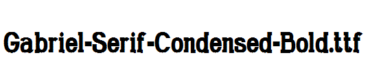 Gabriel-Serif-Condensed-Bold.ttf