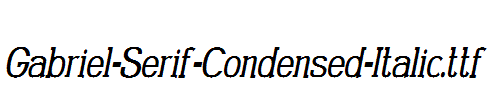Gabriel-Serif-Condensed-Italic.ttf