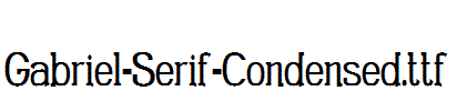 Gabriel-Serif-Condensed.ttf