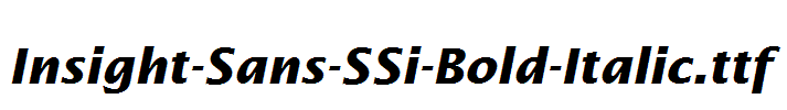 Insight-Sans-SSi-Bold-Italic.ttf