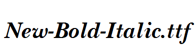 New-Bold-Italic.ttf