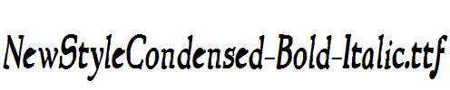 NewStyleCondensed-Bold-Italic.ttf