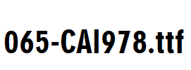 fonts 065-CAI978.ttf