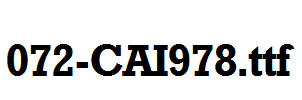 fonts 072-CAI978.ttf