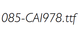 fonts 085-CAI978.ttf