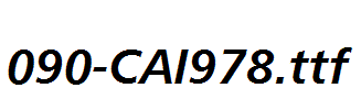 fonts 090-CAI978.ttf