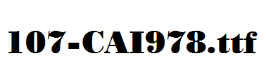 fonts 107-CAI978.ttf