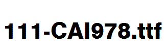 fonts 111-CAI978.ttf