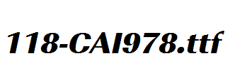 fonts 118-CAI978.ttf