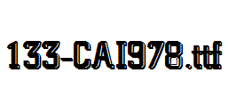 fonts 133-CAI978.ttf