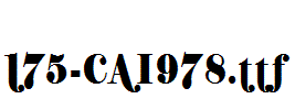 fonts 175-CAI978.ttf