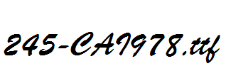 fonts 245-CAI978.ttf