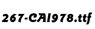 fonts 267-CAI978.ttf