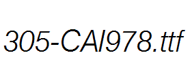 fonts 305-CAI978.ttf