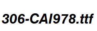 fonts 306-CAI978.ttf