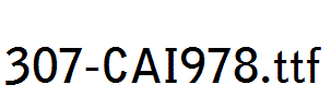 fonts 307-CAI978.ttf