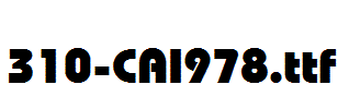 fonts 310-CAI978.ttf