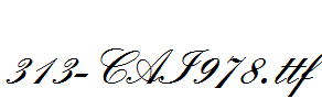 fonts 313-CAI978.ttf