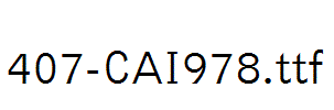 fonts 407-CAI978.ttf