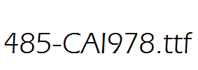 fonts 485-CAI978.ttf