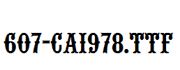 fonts 607-CAI978.ttf