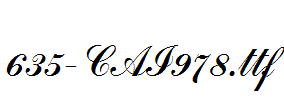 fonts 635-CAI978.ttf