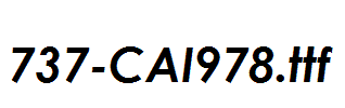 fonts 737-CAI978.ttf