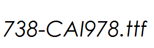 fonts 738-CAI978.ttf