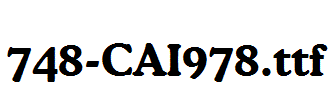 fonts 748-CAI978.ttf