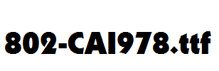 fonts 802-CAI978.ttf