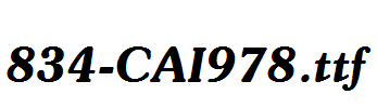 fonts 834-CAI978.ttf